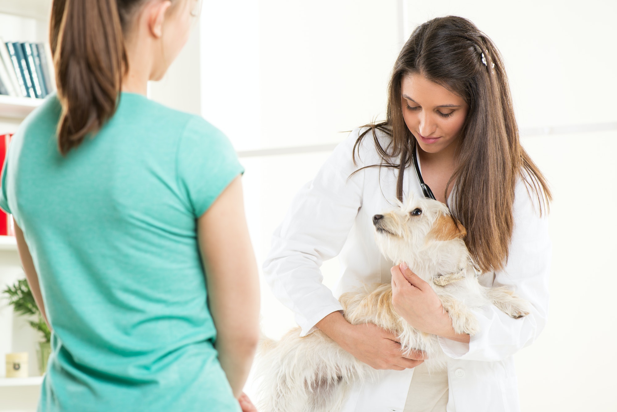 At the veterinary