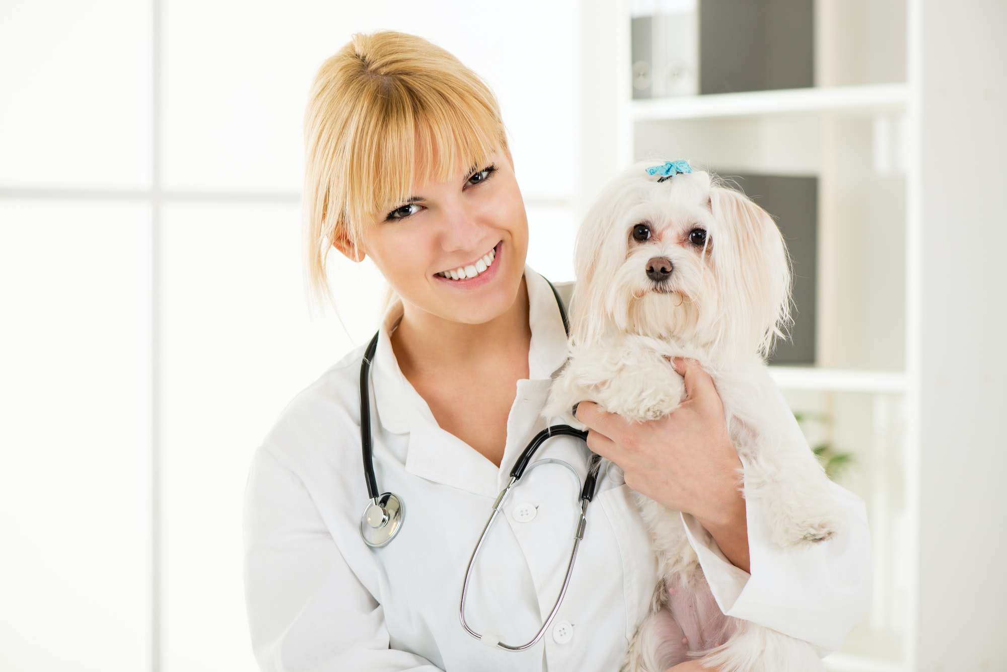 At the veterinary